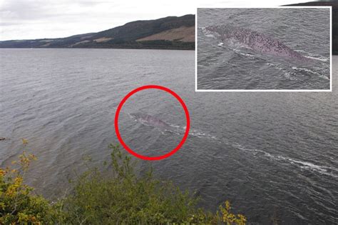 Clear new photo of 'Loch Ness monster' goes viral – but experts think ...