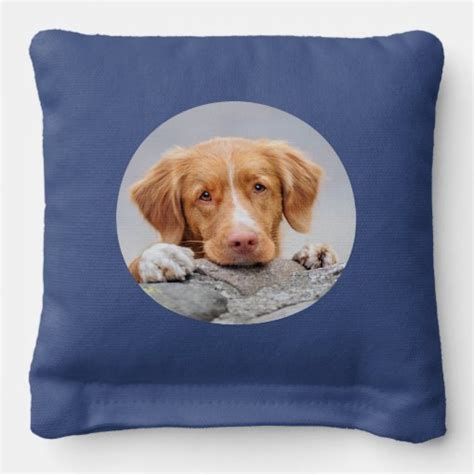 Cute Dog Photo Personalized Monogram Cornhole Bags | Zazzle