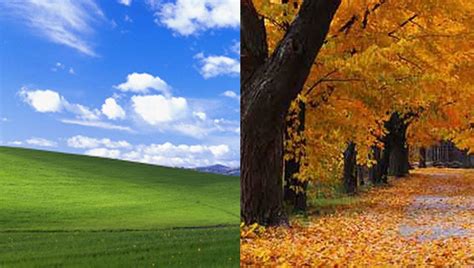 Windows XP Autumn Wallpapers - Top Free Windows XP Autumn Backgrounds ...