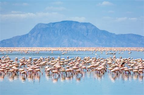 Lake Natron – A Paradise For The Flamingos » Beyond Footprints Travel ...