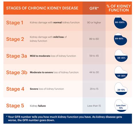 Estimated Glomerular Filtration Rate (eGFR) and Kidney Disease Stages ...