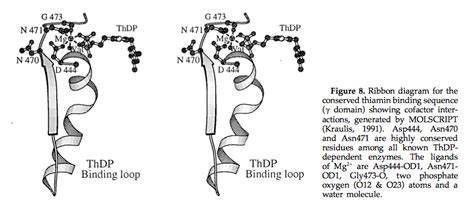 biochemistry - Why does Thiamine pyrophosphate have phosphates ...