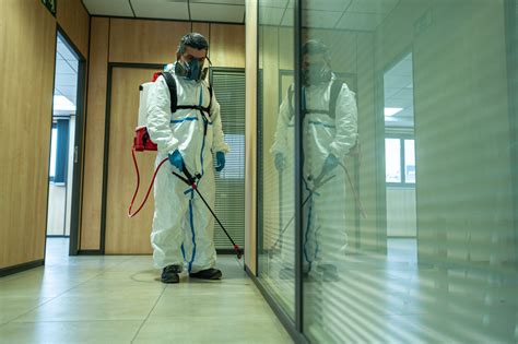 19 Fumigation Facts: An In-depth Exploration of a Critical Pest Control ...