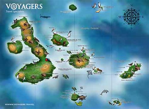 What are the Galapagos Islands ? Where is Ecuador ? Wildlife, Map and ...