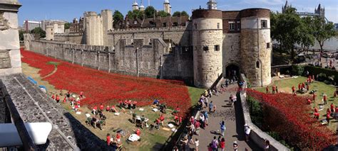 888,246 Poppies At Tower Of London Commemorate Each British And ...