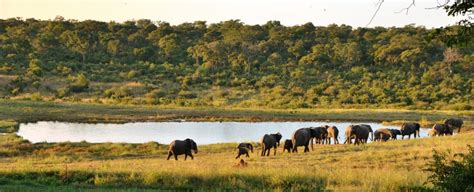 Hwange National Park, Zimbabwe - Description