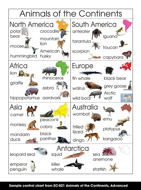 Animals of the Continents – Montessori Materials by Lakeview