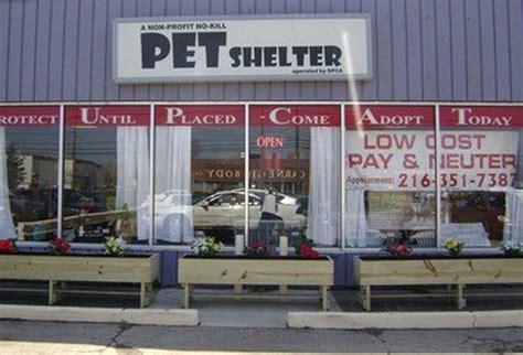 Northeast Ohio SPCA lacks a humane officer, but rescues plenty of dogs ...