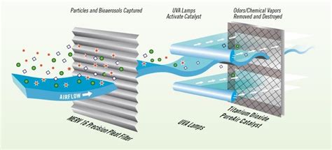 Air Purification Systems That Can Filter Air For Life