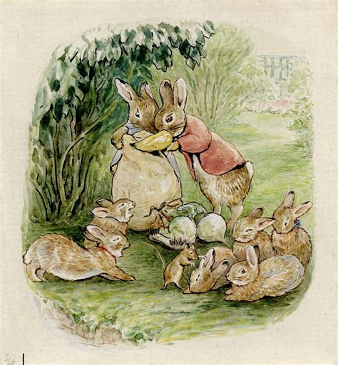 Beatrix potter rabbits - Lizzie Harper