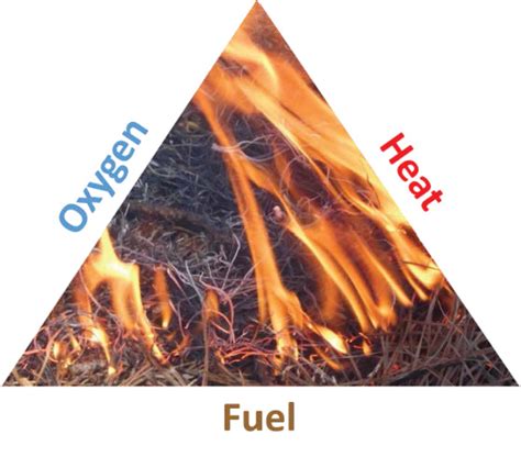 Which of the Following Fuel Characteristics Contribute to Fire Intensity