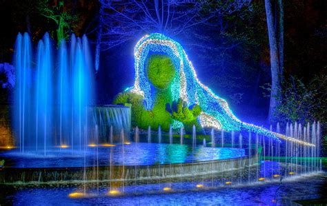 Atlanta Botanical Garden Christmas Lights 2021