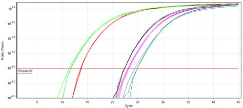 Real-time polymerase chain reaction - Wikipedia