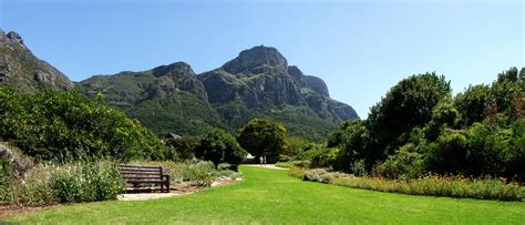 Kirstenbosch National Botanical Gardens - Cape Town | park, forest