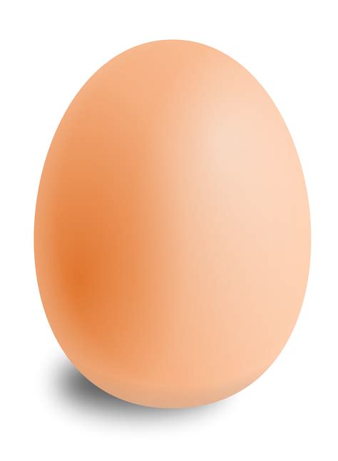 Collection of Broken Egg PNG HD. | PlusPNG