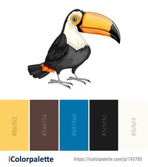 Color Palette Ideas from Toucan Bird Beak Image | iColorpalette