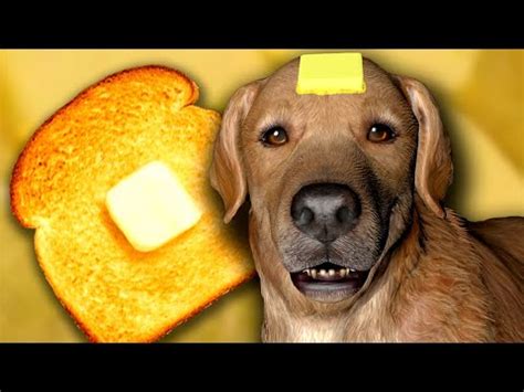 Butter Dog | Butterdog | Know Your Meme