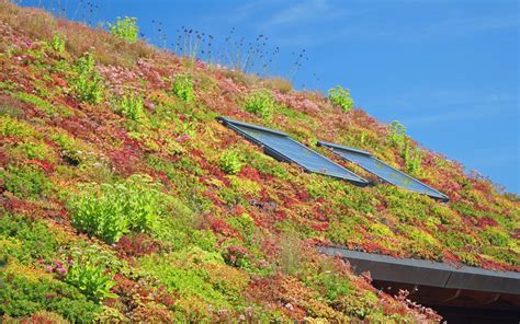 Green Roof Benefits for Sustainable Living - Pinnacle Works