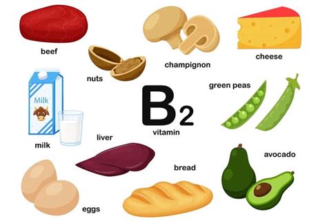 Riboflavin(vitamin B2): Importance, Food Sources, Deficiency and ...