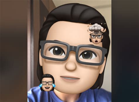 How to Use Memoji During a FaceTime Call on iPhone and iPad