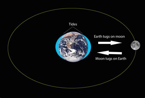 Measuring the Earths Mass Through Its Gravity