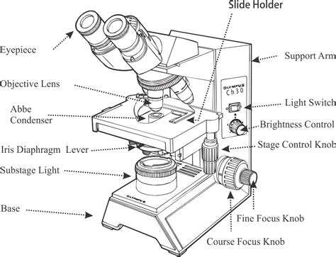 Diagram Of A Compound Light Microscope