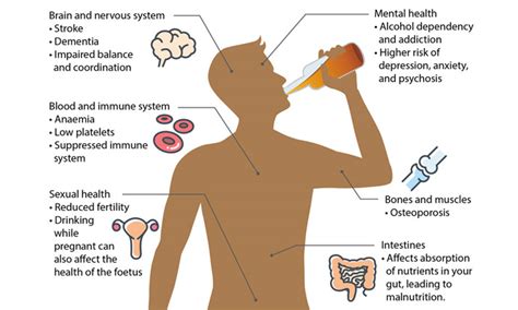 Long Term Effects of Alcohol Consumption on The Body | Mini Bar Glasgow