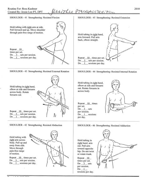 Pictures Of Theraband Exercises