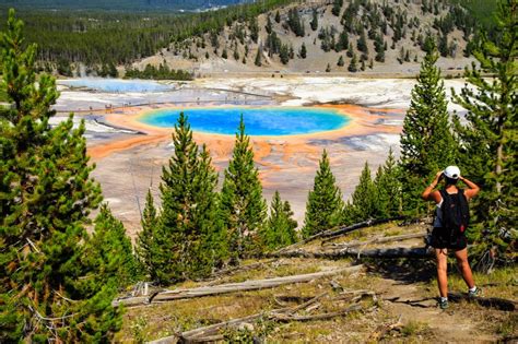 Hiking in Yellowstone National Park: 8 Trails to Conquer in 2024