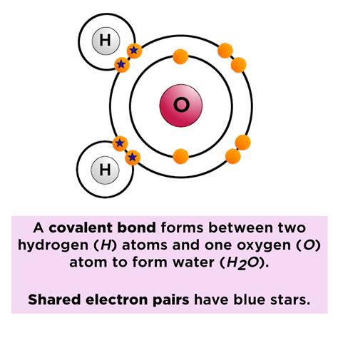 Polar vs. Nonpolar Bonds — Overview & Examples - Expii | Covalent ...