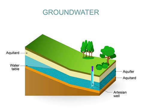 Are You Struggling with a High Water Table? - Excavation Oregon