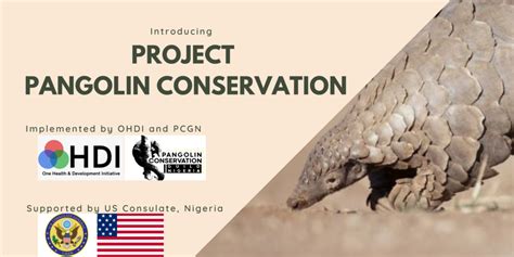 Introducing Project Pangolin Conservation - One Health and Development ...