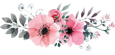 Drawing Floral Design Watercolor Painting Flower Painting Transparent ...