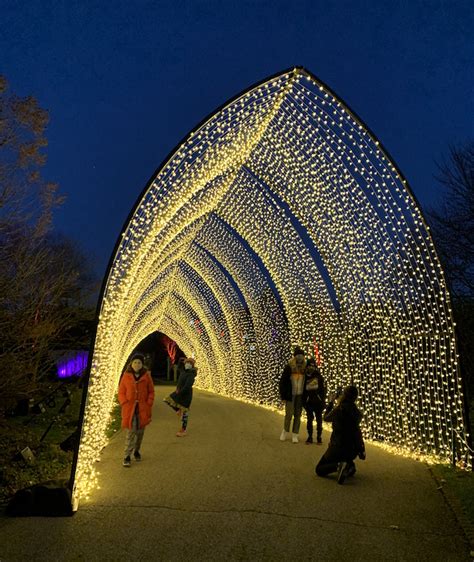 Lightscape at Chicago Botanic Gardens is Incredible : Whipped