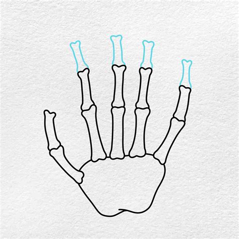 How to Draw a Skeleton Hand - HelloArtsy