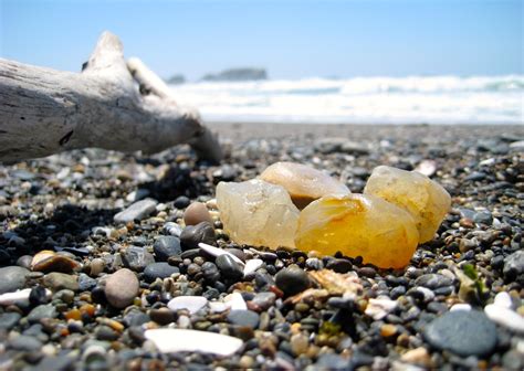 Oregon coast beach photo gallery | Oregon beaches, Oregon coast, Oregon ...