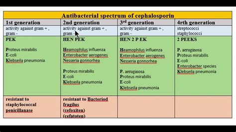 Cephalosporin/ antibacterial spectrum of cephalosporin/cephalosporin ...