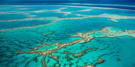 Great Barrier Reef, The Largest Coral Reef Tourism in The World ...