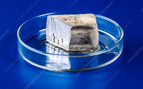 Block of sodium metal - Stock Image - C037/5868 - Science Photo Library