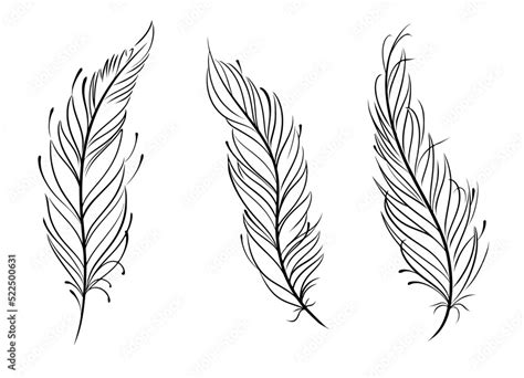 3 simple feather outline SVG vector black and white line art Stock ...