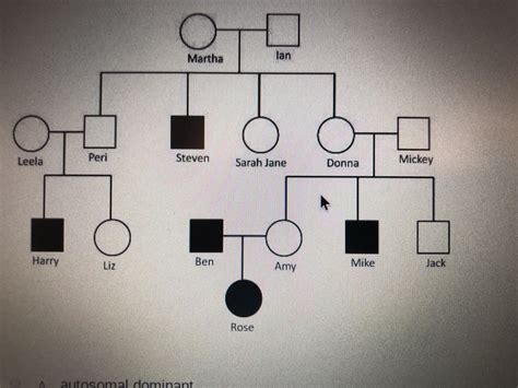 This example pedigree chart consists entirely of companions : r/doctorwho