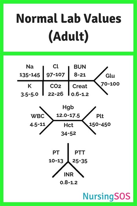 The 25+ best Lab values ideas on Pinterest | Nursing lab values ...