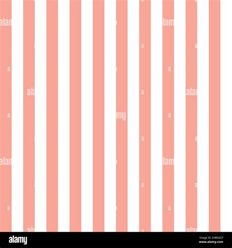 Pink white stripes seamless pattern. Vector illustration Stock Vector ...