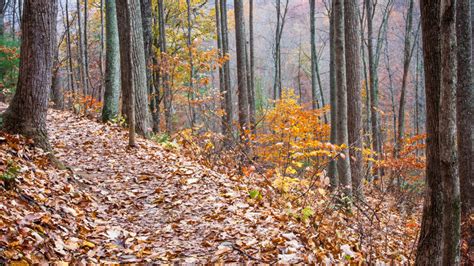 Hike This Popular US Trail To Reach A Stunning 70ft Waterfall