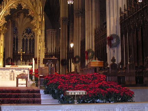 Christmas flowers at St Patrick's Cathedral, New York, Jan… | Flickr