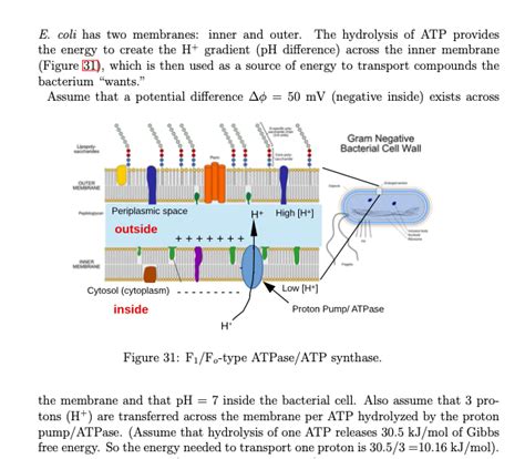 Solved What is the pH outside (in the periplasmic space) | Chegg.com