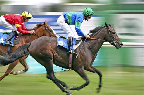 horse, Racing, Race, Equestrian, Sport, Jockey, Horses Wallpapers HD ...