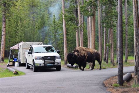 The Best Yellowstone RV Camping - Nomadic News