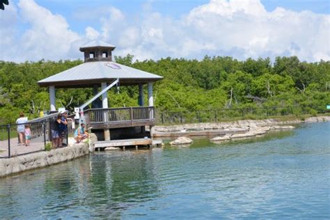 Florida Oceanographic Coastal Center (Stuart) - All You Need to Know ...