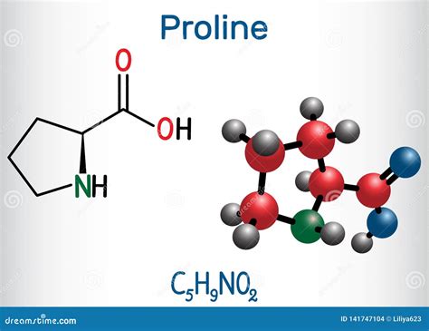 Molecule Of Proline, Pro, An Amino Acid Used In The Biosynthesis Of ...